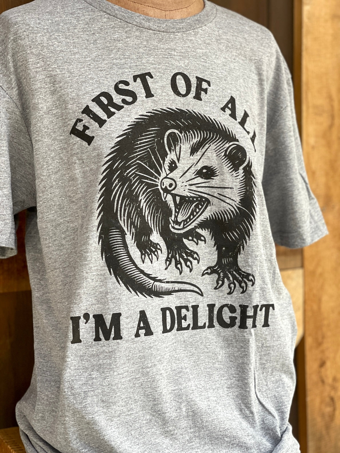 I’m a Delight Tee Angry Minnow Tee grey