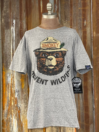 Thumbnail for Smokey bear fan gear