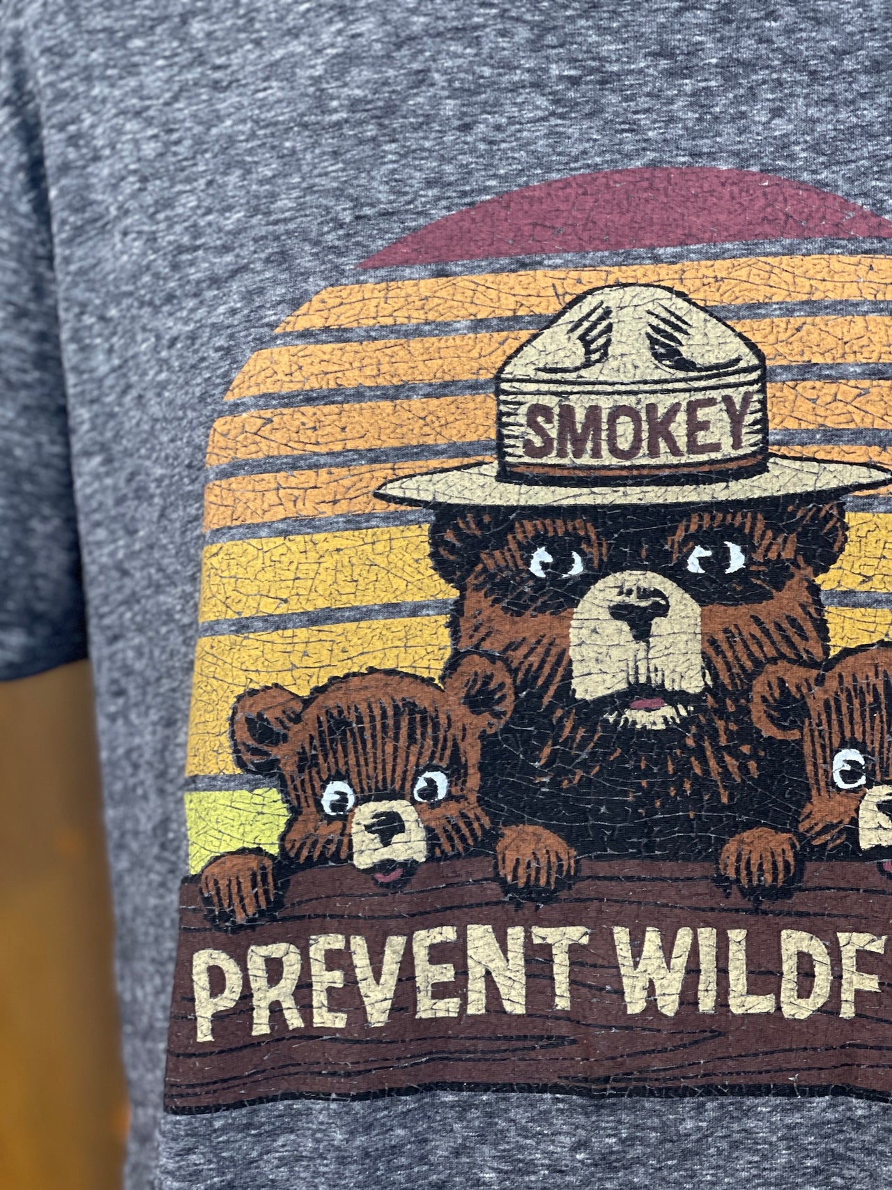 Smokey Bear & Cubs LUXE Tee- Charcoal Grey CLEARANCE