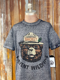 Thumbnail for Smokey Prevent Wildfires LUXE Tee- Charcoal Grey CLEARANCE